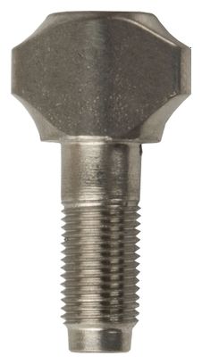 CAMPAGNOLO Tornillo de ajuste de tensión del cambio Campagnolo 11v