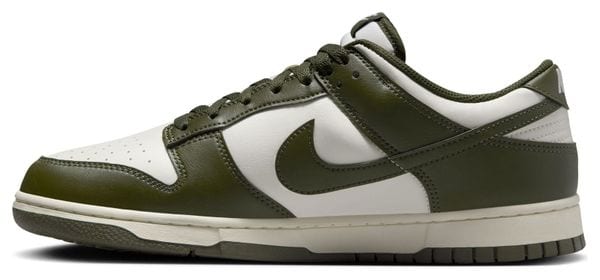 Nike Dunk Low Retro Beige/Kaki Herensportschoenen