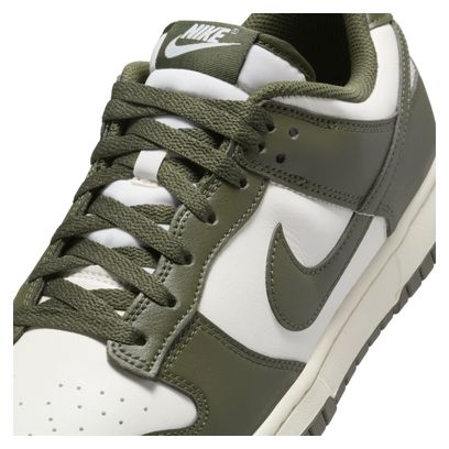 Nike Dunk Low Retro Beige/Kaki Herensportschoenen