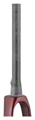 Forcella Trek Rigid Domane+ LT 2020 700C Rosso/Blu