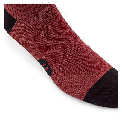 Chaussettes Fox 6" Ranger Marron