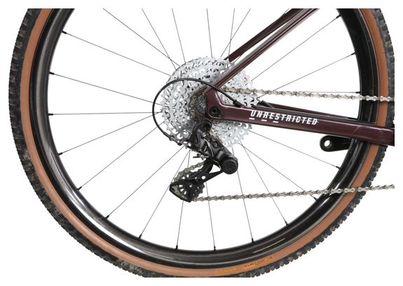 Gravel Bike BMC URS 01 Three Campagnolo Ekar 13V | T.S 160/170 | Produkt Reconditioned