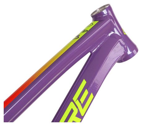 Cadre BMX Inspyre Concorde V3 LTD Flarer Purple