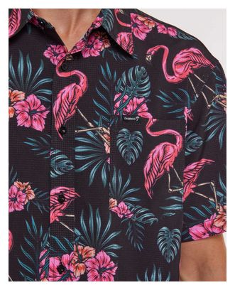 Dharco Party Parker Flamands Roses Technical Shirt