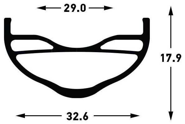 Stan's Arch S2 29'' | Boost 12x148 mm | 6-Loch-Hinterrad