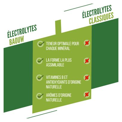 Boisson Electrolytes Baouw Citron Vert Menthe 10 pastilles