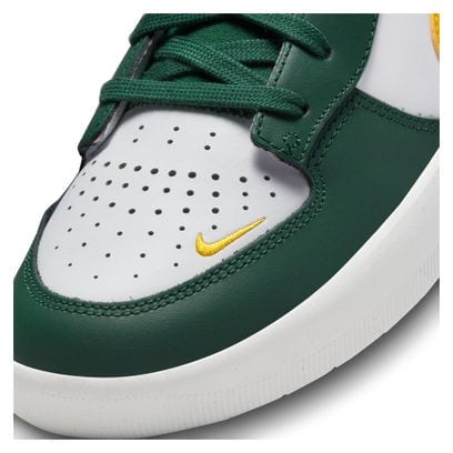 Nike SB Force 58 Scarpe Verde Bianco