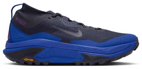 Scarpe da trail Nike ACG Zegama Trail GTX Grigio/Blu da uomo