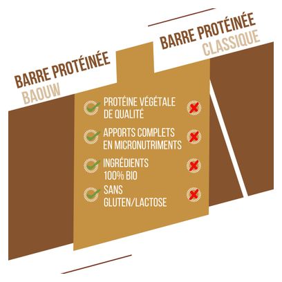 Barretta proteica biologica Baouw Mela/Cannella - 50 g