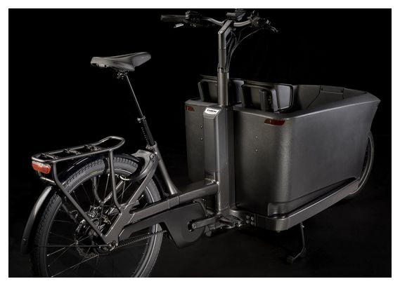 Vélo Cargo Électrique Trek Fetch+ 4 Enviolo Pro 750 Wh 20/27.5'' Noir