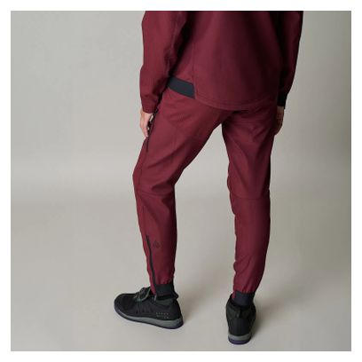 Pantalon de VTT ION Shelter 2L Softshell Violet Femme