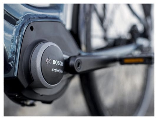 Vélo de Ville Électrique Trek District+ 1 Lowstep Shimano Nexus 7V 500 Wh 700 mm Bleu 2022