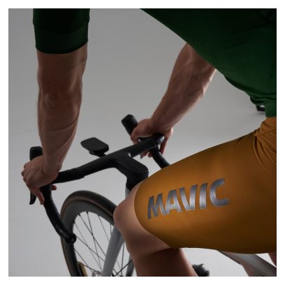 Mavic Ksyrium korte fietsbroek voor heren, bruin