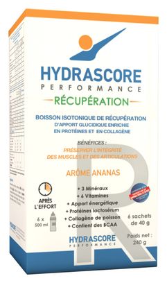 Bebida de recuperación Hydrascore Recovery Piña 6 x 40g