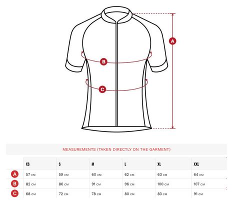 Maillot vélo manches courtes homme Cyclisme M2 Westfalia Blanc