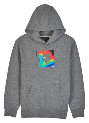 Scans Pullover Hoody Child Grey