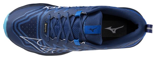 Mizuno Wave Daichi 8 GTX Trailschoenen Blauw Heren