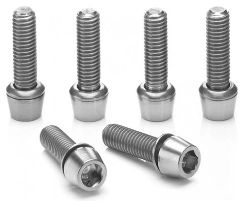 Ritchey Titanium Stem Bolt Set C220 Stem Silver (6 Screws) 