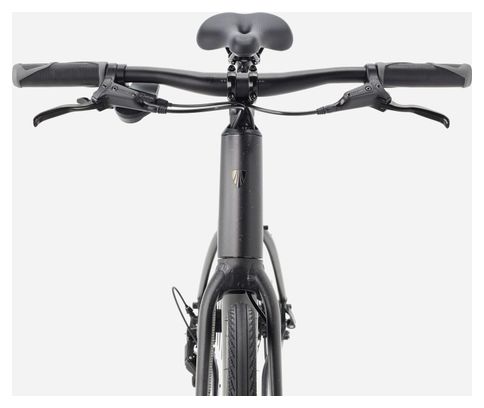 Bicicletta fitness Trek FX 2 Stepover con cambio Shimano Cues 9V, manubrio da 700 mm, grigio/nero, 4a generazione