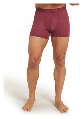 Icebreaker Anatomica Bordeaux boxer briefs