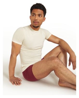 Icebreaker Anatomica Bordeaux boxer briefs