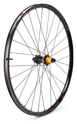 Roue Arrière Progress EVO 29"  | 12x142 mm | 6 Trous | Shimano HG