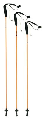 FERRINO Stick Eiger 115cm (PAAR)