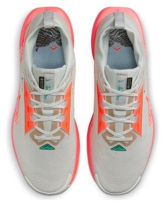 Nike Pegasus Trail 5 GTX Trailschuh Grau/Orange Herren