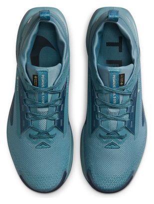 Trail Shoes Nike Pegasus Trail 5 GTX Bleu Homme