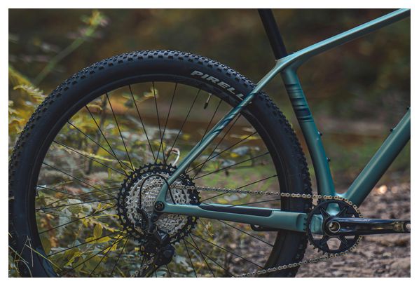 BH Ultimate 6.0 Shimano 12V 29'' Hardtail Mountain Bike, Green 2026
