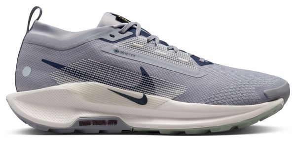 Chaussures Trail Nike Pegasus Trail 5 GTX Gris Homme