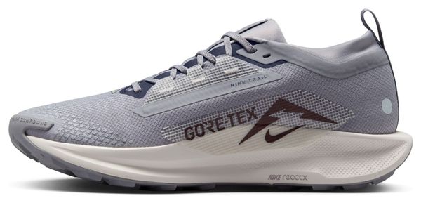 Chaussures Trail Nike Pegasus Trail 5 GTX Gris Homme