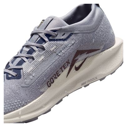 Chaussures Trail Nike Pegasus Trail 5 GTX Gris Homme