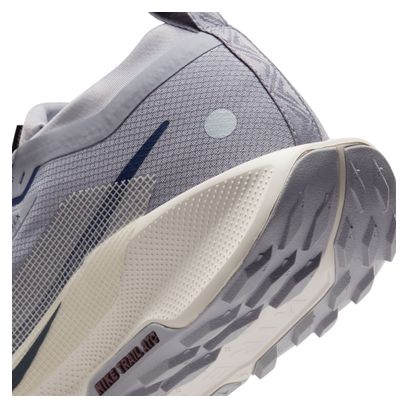 Chaussures Trail Nike Pegasus Trail 5 GTX Gris Homme