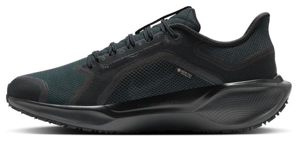 Zapatillas de running Nike Pegasus 41 GTX Negras Hombre