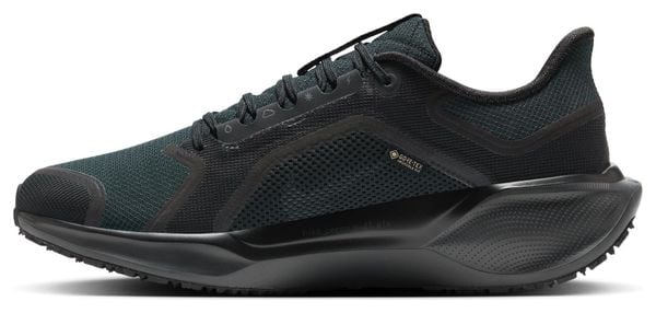 Nike Pegasus 41 GTX Scarpe da corsa Nero Uomo