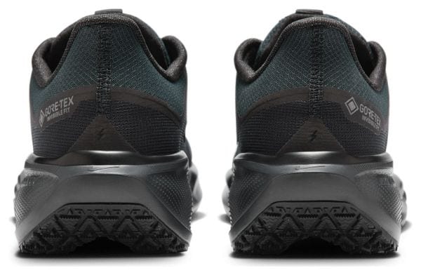 Zapatillas de running Nike Pegasus 41 GTX Negras Hombre