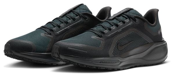 Nike Pegasus 41 GTX Scarpe da corsa Nero Uomo