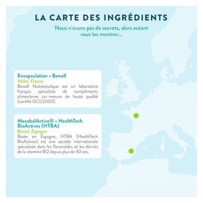 Vitamine B12 Vegan - Energie - 120 gélules