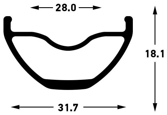 Jante Stan's NoTubes Arch S2 29''