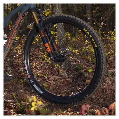 Jante Stan's NoTubes Arch S2 29''