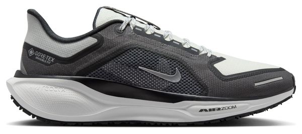 Nike Pegasus 41 GTX Grey/White Running Shoes for Men