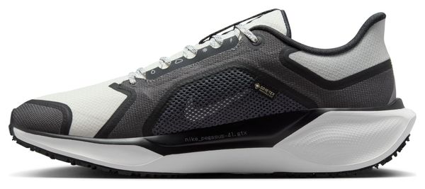 Nike Pegasus 41 GTX Grey/White Running Shoes for Men