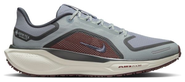 Nike Pegasus 41 GTX Grey/Blue Men's Running Shoes