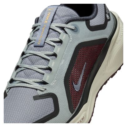 Nike Pegasus 41 GTX Grey/Blue Men's Running Shoes