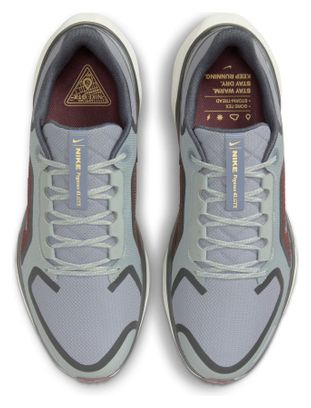 Nike Pegasus 41 GTX Grey/Blue Men's Running Shoes