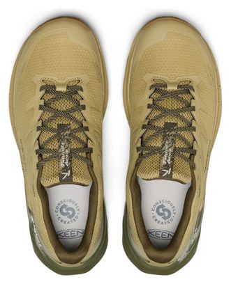 Scarpe da trekking Keen Targhee Apex WP verde da uomo 