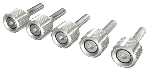 Stashed LodeStar Schnellverstell-Set (5 x M6) Silber