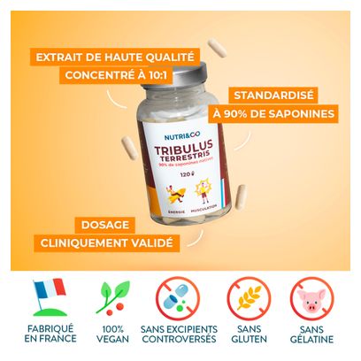 Tribulus Terrestris - 90% Saponines - 120 gélules