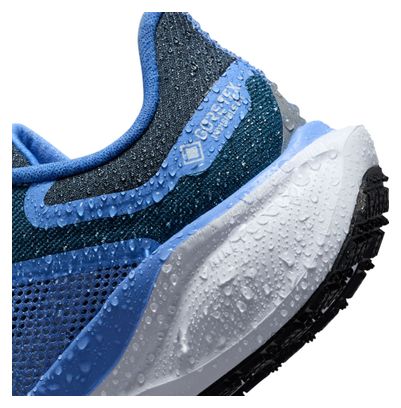 Zapatillas de running Nike Pegasus 41 GTX Azul Mujer